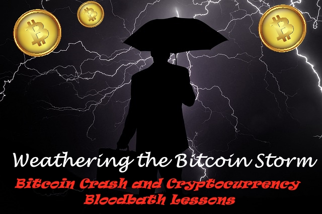 weathering the bitcoin storm
